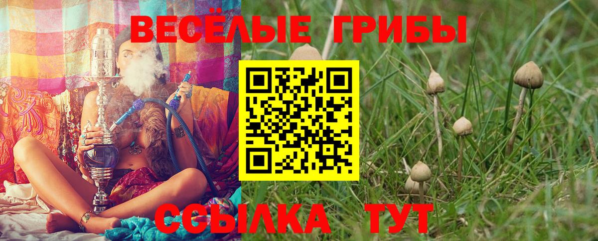 Галлюциногенные грибы Magic Shrooms  Вход с VPN  Михайловка 