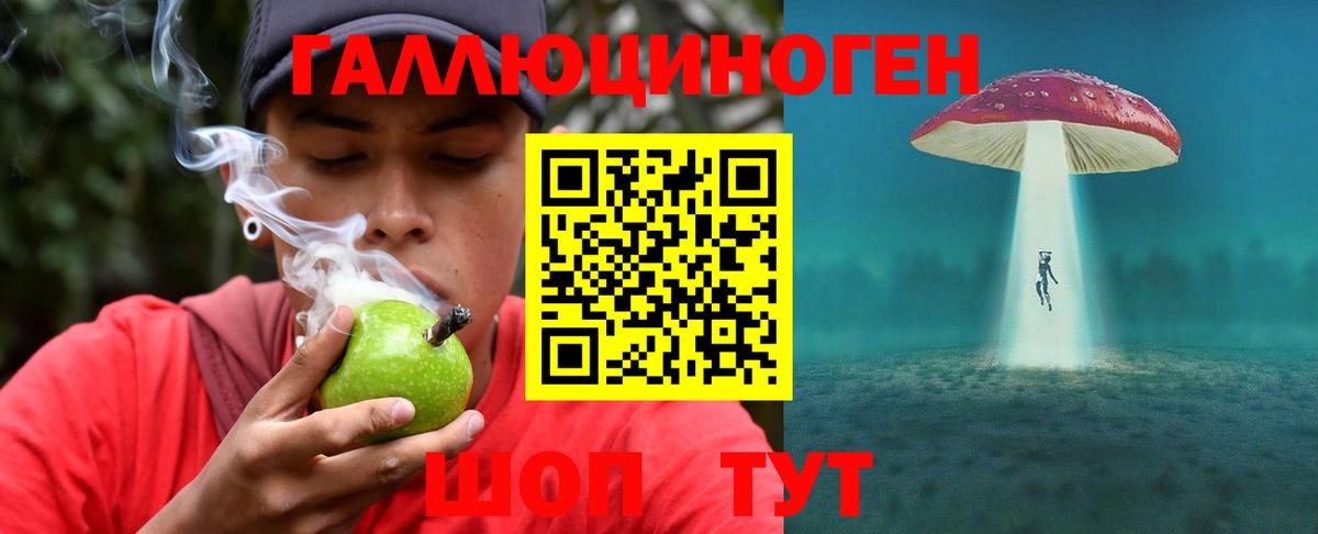 Галлюциногенные грибы Psilocybe Михайловка