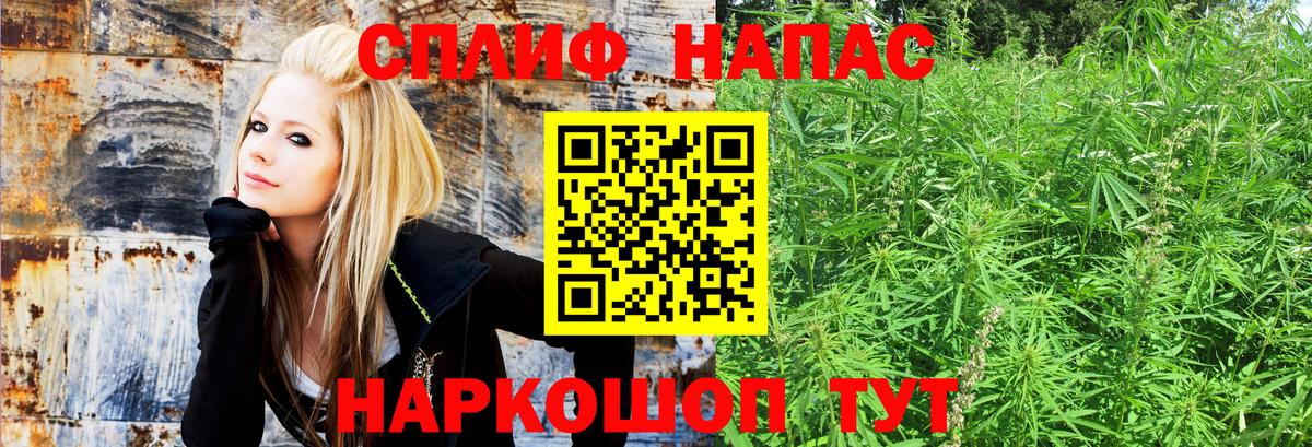 Михайловка  Конопля White Widow  Вход с VPN  Бошки марихуана Ganja  Марихуана ГИДРОПОН 